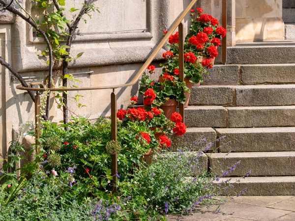 Image of Oriel College exceeds 1,000 donors in 2024–25 financial year