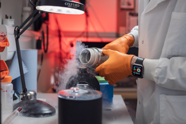 Image of Ron Bancroft Fellow joins EMBO young investigator programme